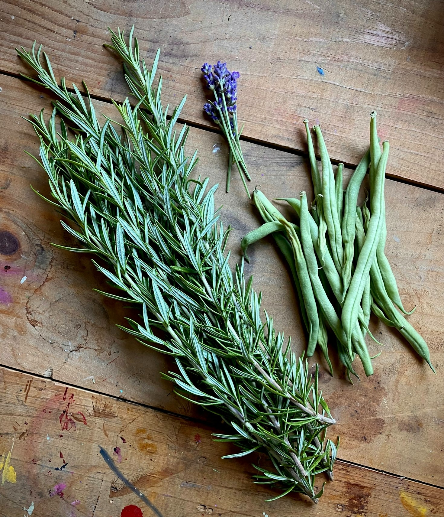 Understanding the Role of Herbal Medicine in Healing
